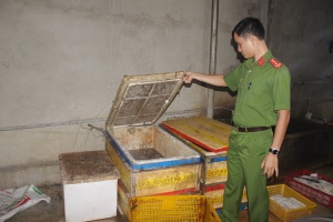Quảng Ninh: Bắt quả tang cơ sở chế biến hơn 1 tấn nội tạng không rõ xuất xứ