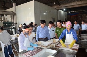 Nghệ An: Thanh tra, kiểm tra an toàn thực phẩm dịp "Tháng hành động vì an toàn thực phẩm" năm 2017