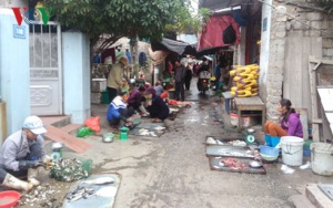 Nỗi lo mất an toàn vệ sinh thực phẩm ở chợ cóc tại Quảng Ninh