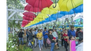 Bảo đảm an toàn thực phẩm, phòng chống ngộ độc trong dịp nghỉ lễ