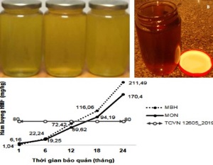 Nghiên cứu khả năng chống oxi hóa của sản phẩm chỉ dẫn địa lý Mật ong Bạc hà Cao nguyên đá Đồng Văn, tỉnh Hà Giang