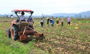 Quảng Ninh: Đảm bảo an toàn thực phẩm trong lĩnh vực nông nghiệp