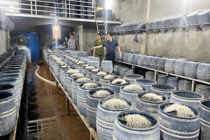 Phát hiện 2 hộ dân dùng hóa chất độc hại để sản xuất hàng trăm tấn giá đỗ