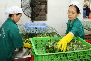 Nâng tầm nông sản bằng mô hình chuỗi an toàn thực phẩm