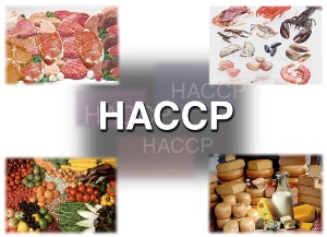 HACCP – chuẩn mực vệ sinh an toàn thực phẩm trên toàn thế giới.