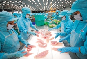 HACCP/ TCVN 5603:2008 - Con đường tiến đến thị trường thế giới